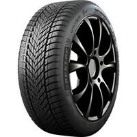 Dunlop WINTER