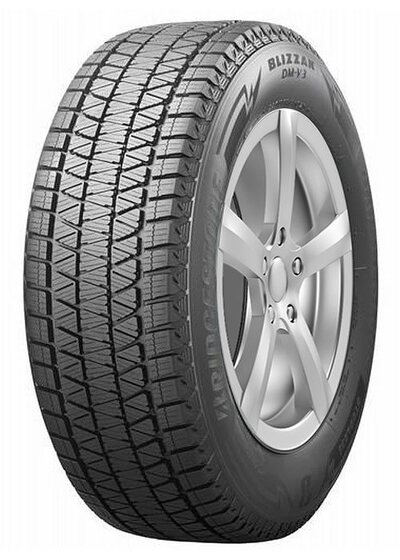 Bridgestone Blizzak DM-V3