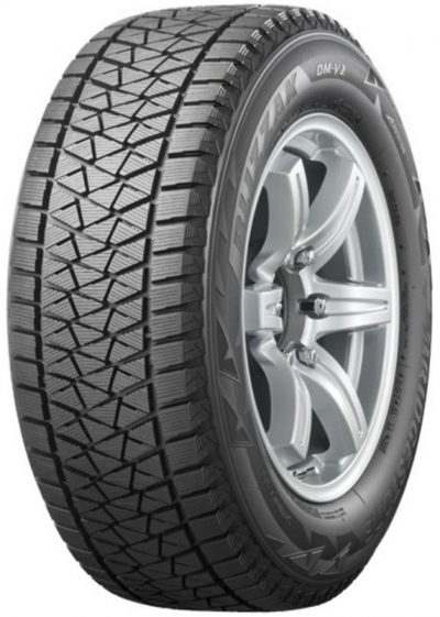 Bridgestone Blizzak DM-V2